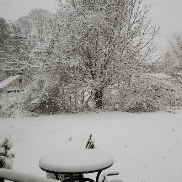 Snow - Picture 6 of 7